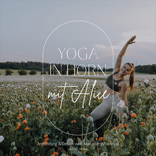 Yoga - Flow & Shine
